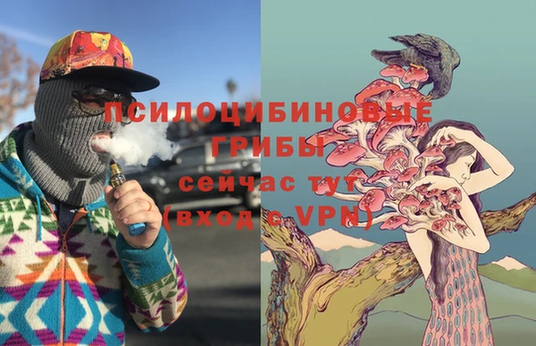 первитин Касимов