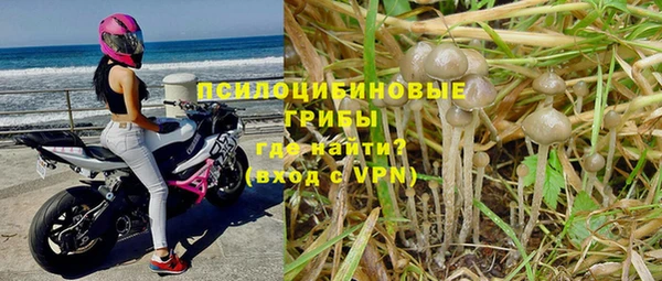 первитин Карпинск