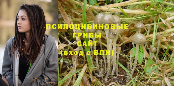 первитин Карпинск