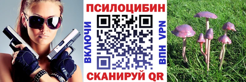 Купить где  Камень-на-Оби  Псилоцибиновые грибы GOLDEN TEACHER 