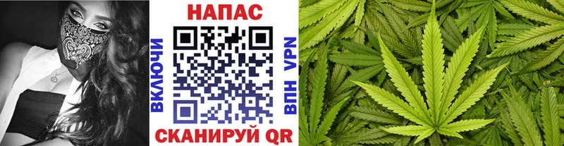 Купить где Камень-на-Оби Каннабис MAZAR